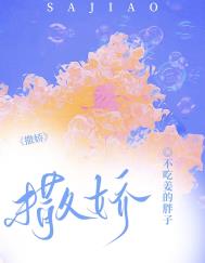 海军少将与苗翠花的秘密情史